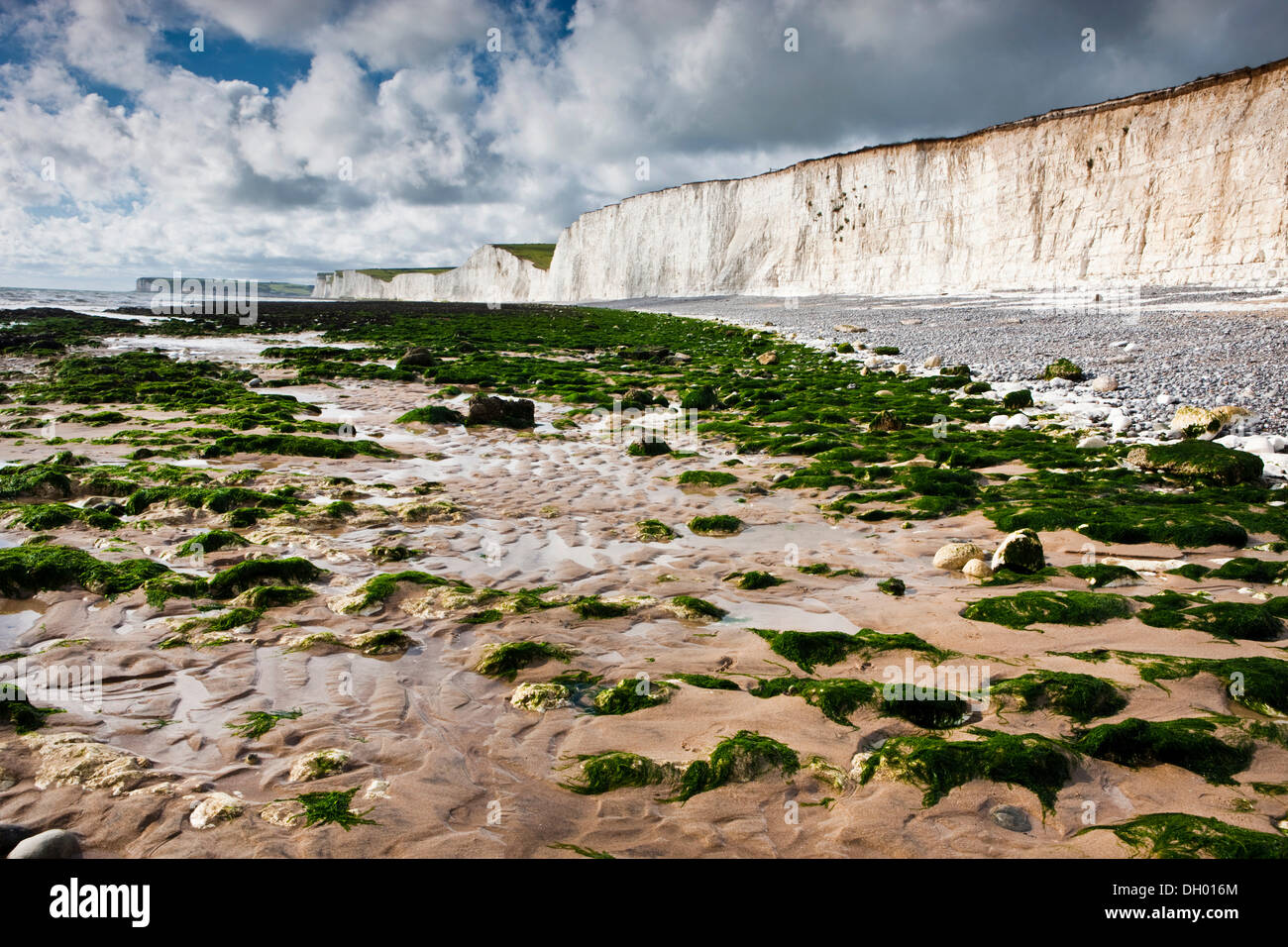 White chalk cliffs, Seven Sisters Country Park, East Sussex, England, United Kingdom Stock Photo