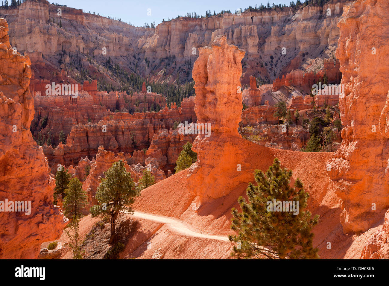 Trail between coloured rock pyramids, Bryce Canyon National Park, Utah, United States Stock Photo
