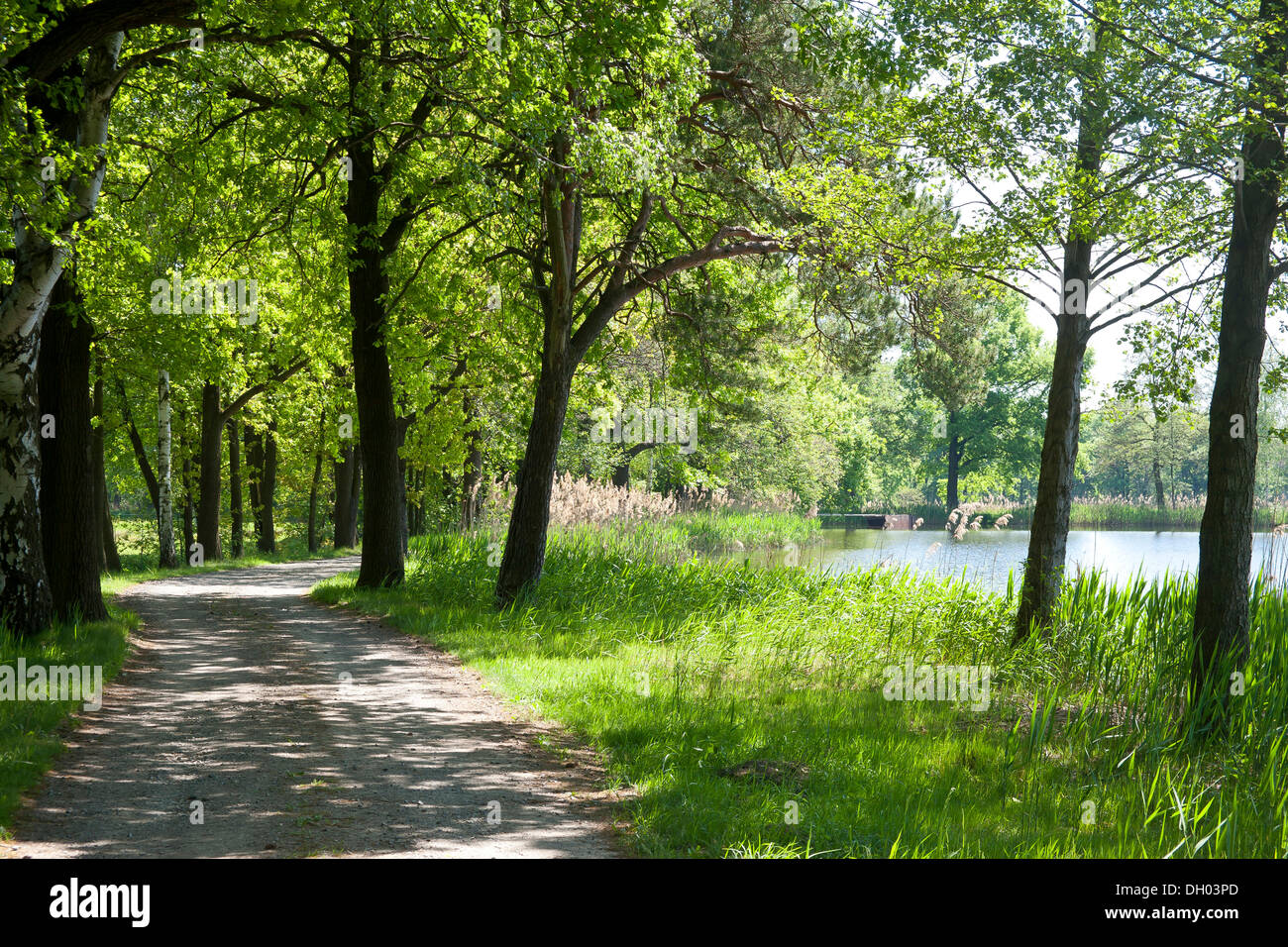 upper lusatian heath and pond landscape biosphere reserve