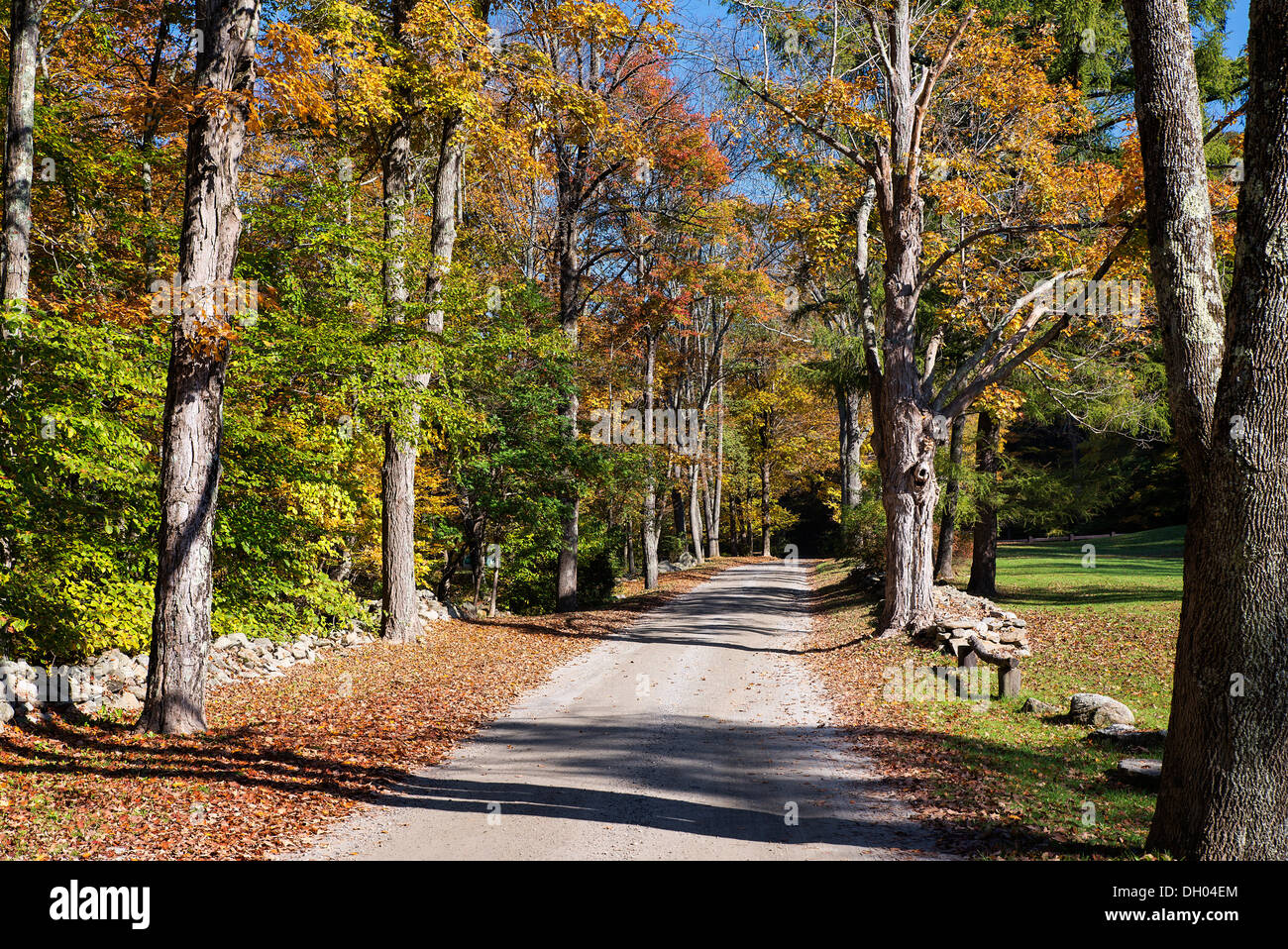 Unpaved autumn road, Maceddonia Brook State Park, Kent, Connecticut, USA Stock Photo
