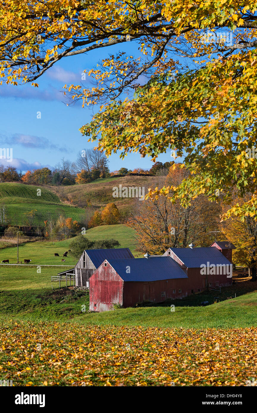 Jenne farm reading vermont usa hires stock photography and images Alamy
