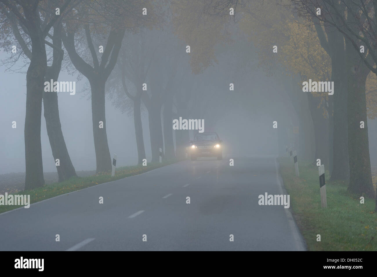 Car lights fog hires stock photography and images Alamy