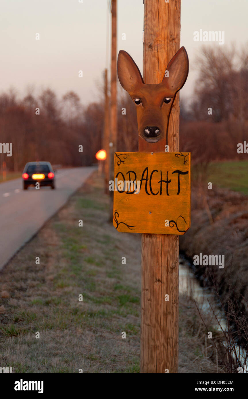 Painted warning sign with the Bavarian word 'Obacht' and the head of a deer, German for 'caution', at a roadside, near Freising Stock Photo