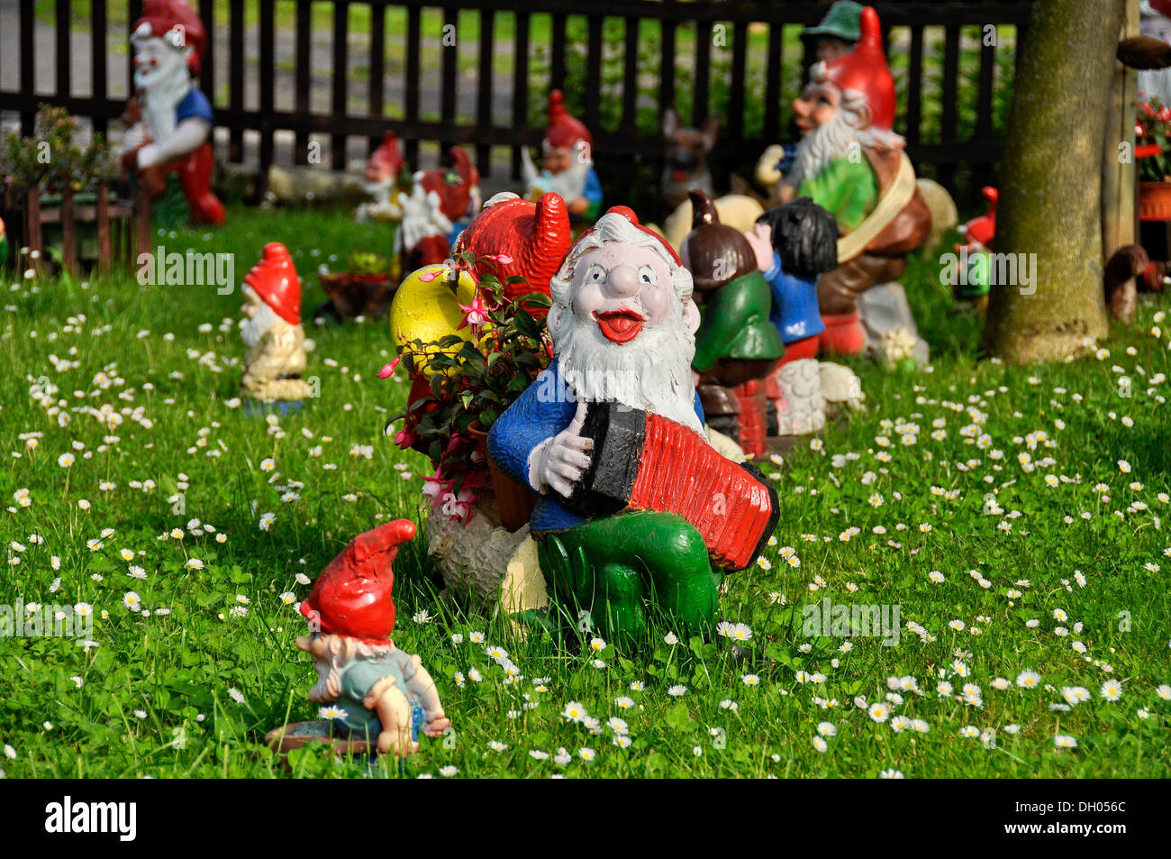 Garden gnome as a musician playing the accordion, Bueches near Buedingen, Hesse Stock Photo