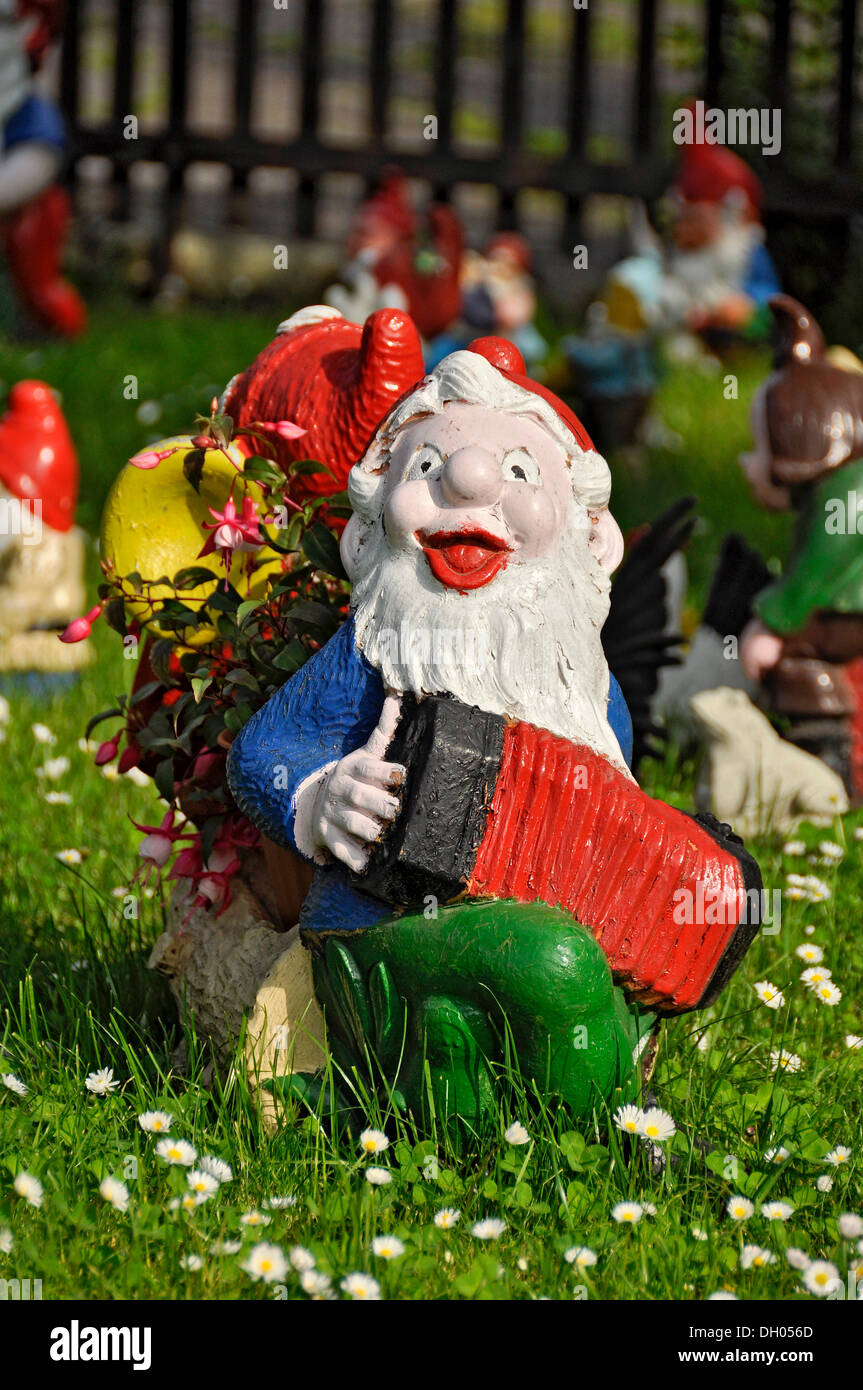 Garden gnome as a musician playing the accordion, Bueches near Buedingen, Hesse, PublicGround Stock Photo