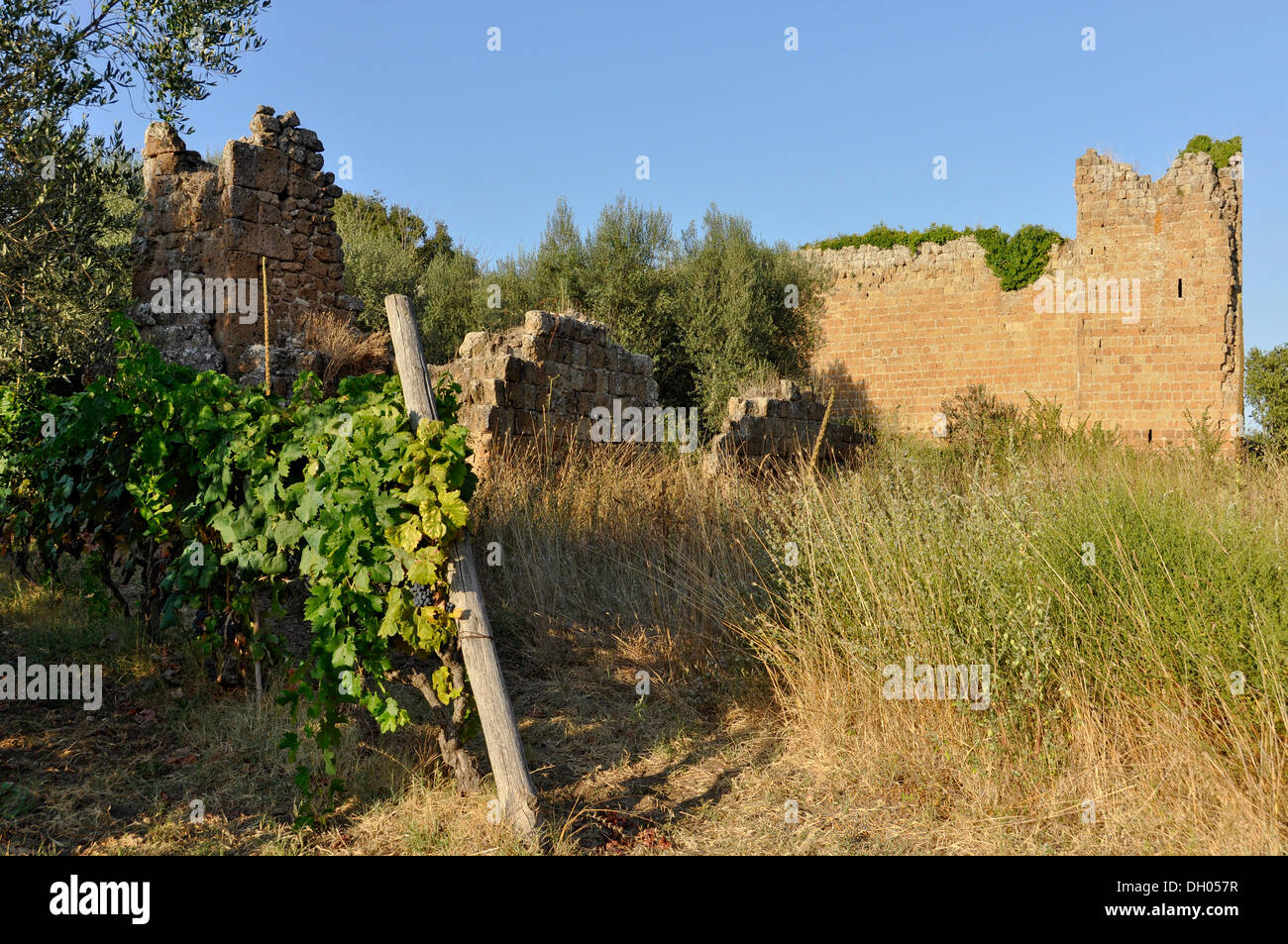 Remains of the Cappella di San Giovenale chapel, 9th century, Castello dei Di Vico Fortress, 13th century, archaeological zone Stock Photo