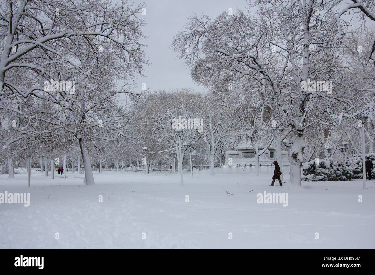 Cambridge Common park near Harvard University campus in Cambridge, MA, USA covered in snow after a blizzard. Stock Photo