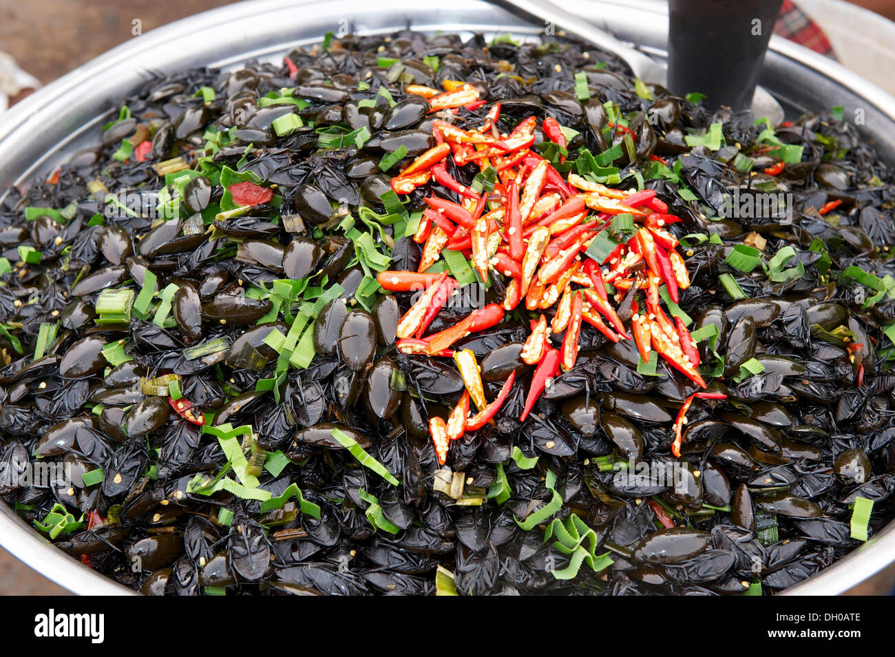 Boiled water beetles at a market, Siem Reap, Siem Reap, Siem Reap Province, Cambodia Stock Photo