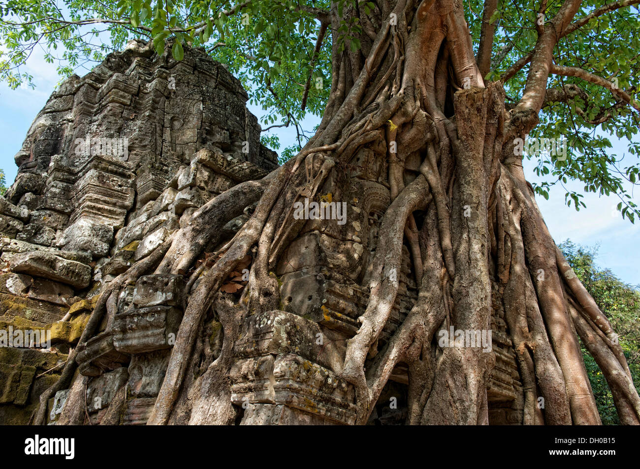Trees growing over a gate at the temple of Ta Som, Ta Som, Siem Reap, Siem Reap Province, Cambodia Stock Photo