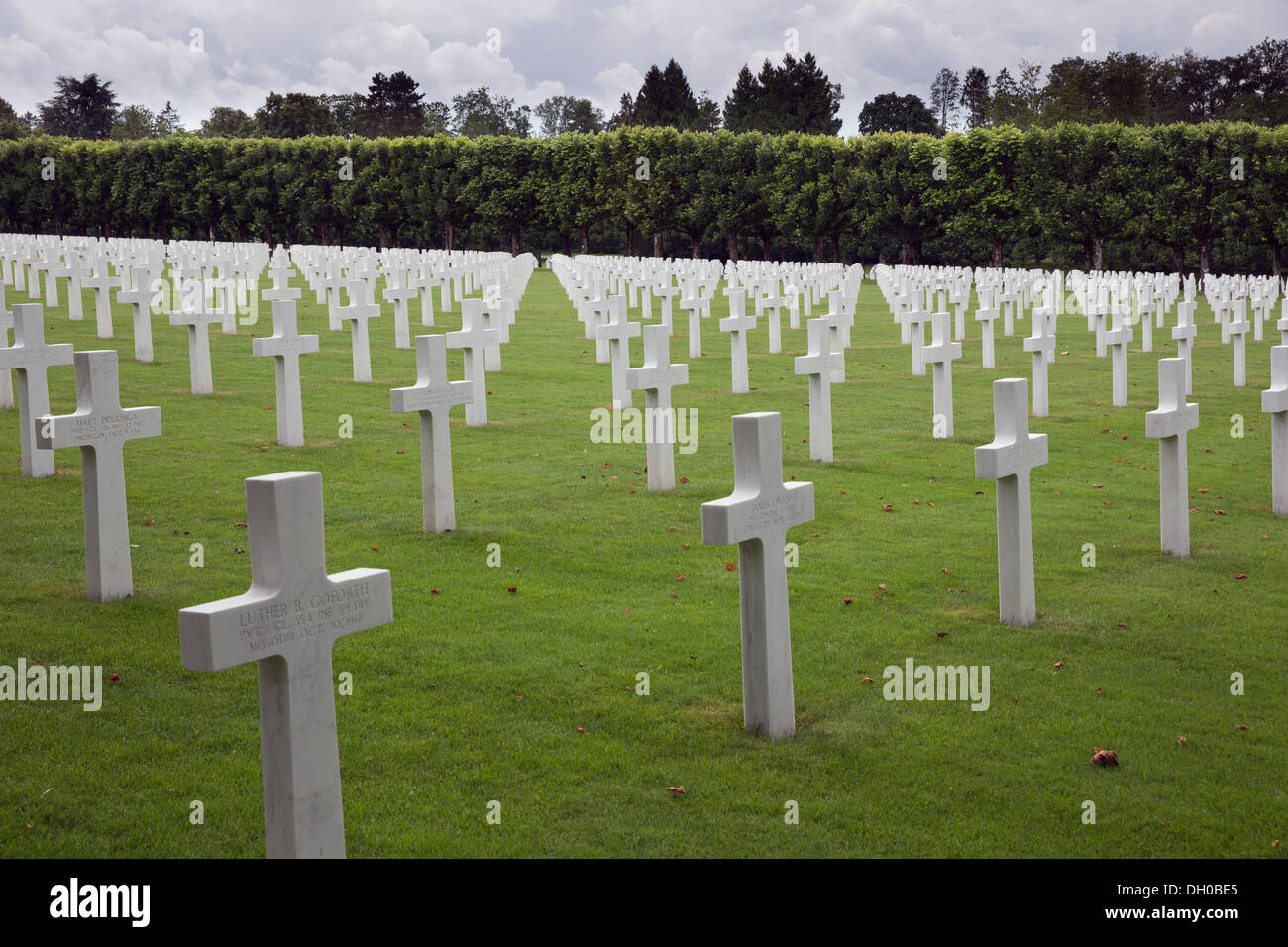 Aligned war graves, MeuseArgonne American Cemetery Stock Photo Alamy