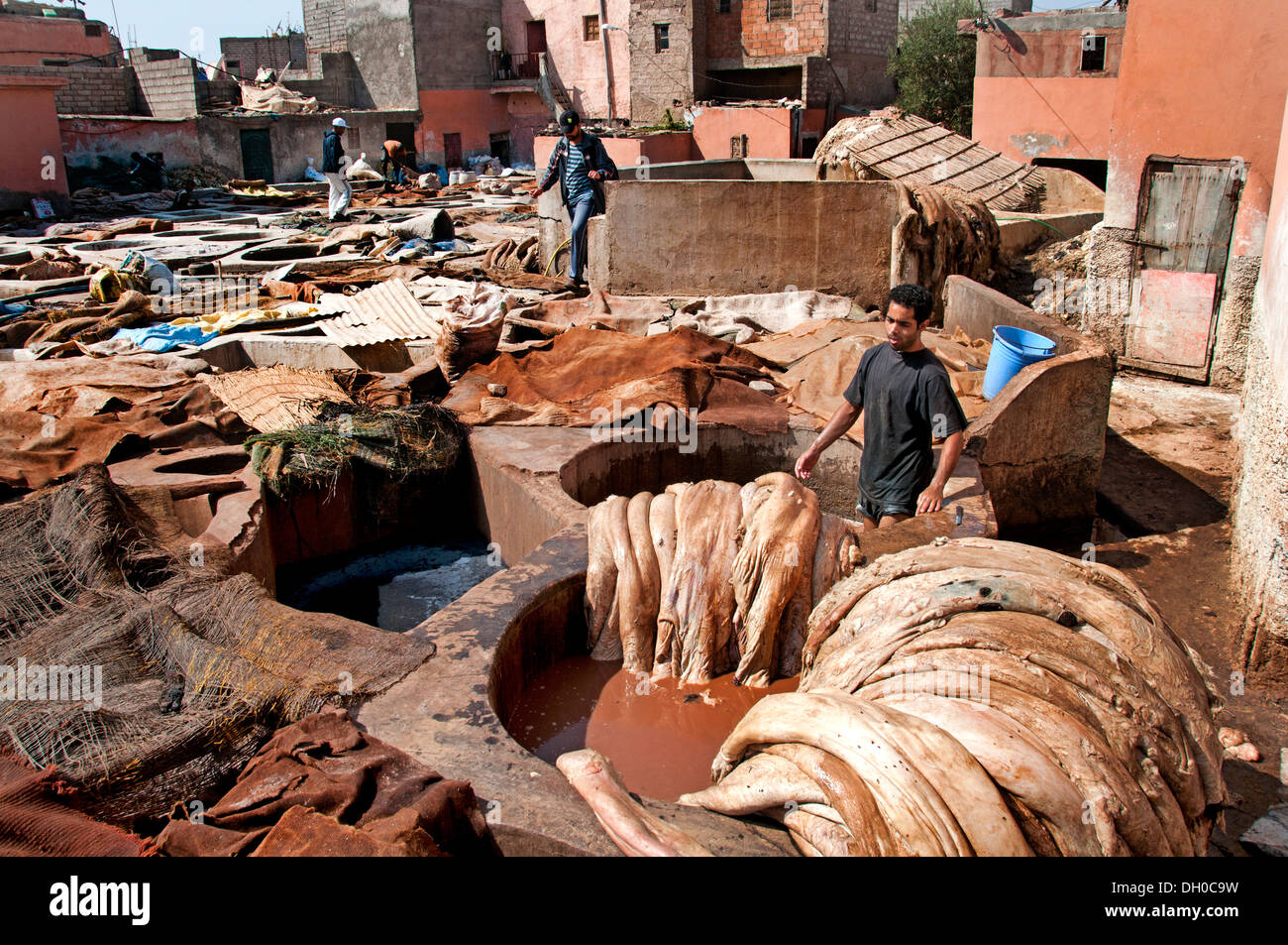 Tanneries ( Tannery )  Leather and skin processing outdoor tanning vats north of Medina district Marrakech  Morocco North Africa Stock Photo