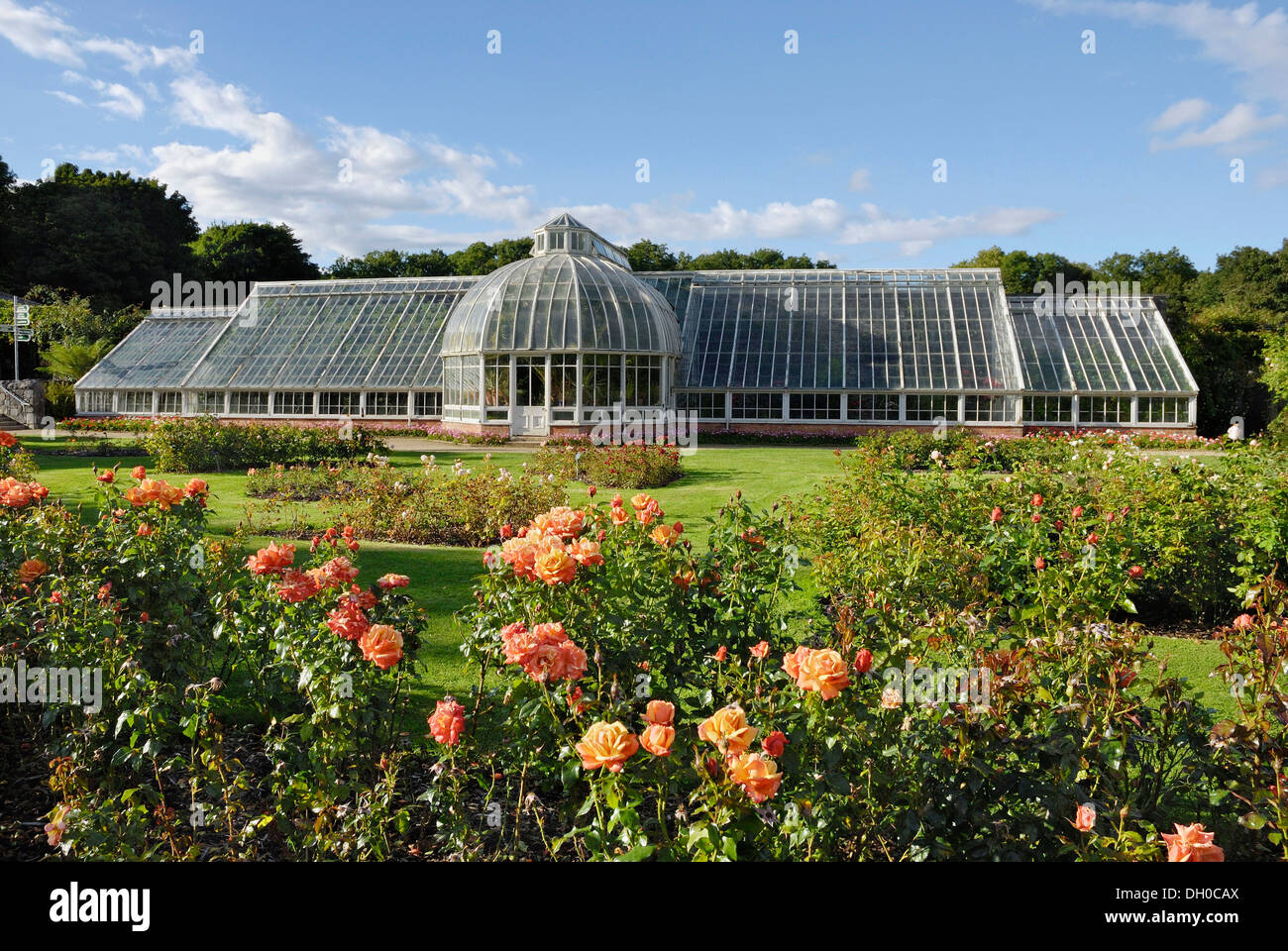 Victorian glass greenhouse in a rose garden in the park of Castle Ardgillan in Skerries, County Dublin, Republic of Ireland Stock Photo