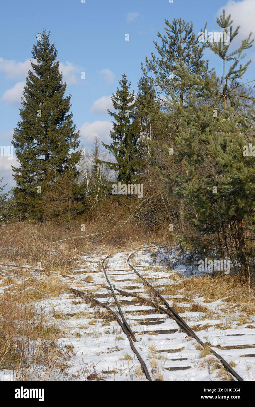 Tracks of a narrow-gauge railway for transporting peat, Stammbecken Moor, near Rosenheim, Bavaria Stock Photo