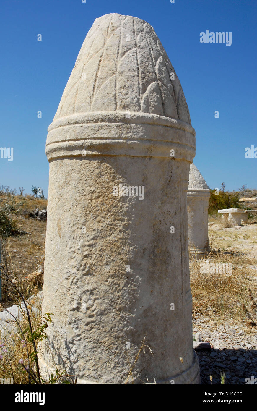 Short Roman column with ornamentation, Roman town of Asseria near Benkovac, Dalmatia, Croatia, Europe Stock Photo