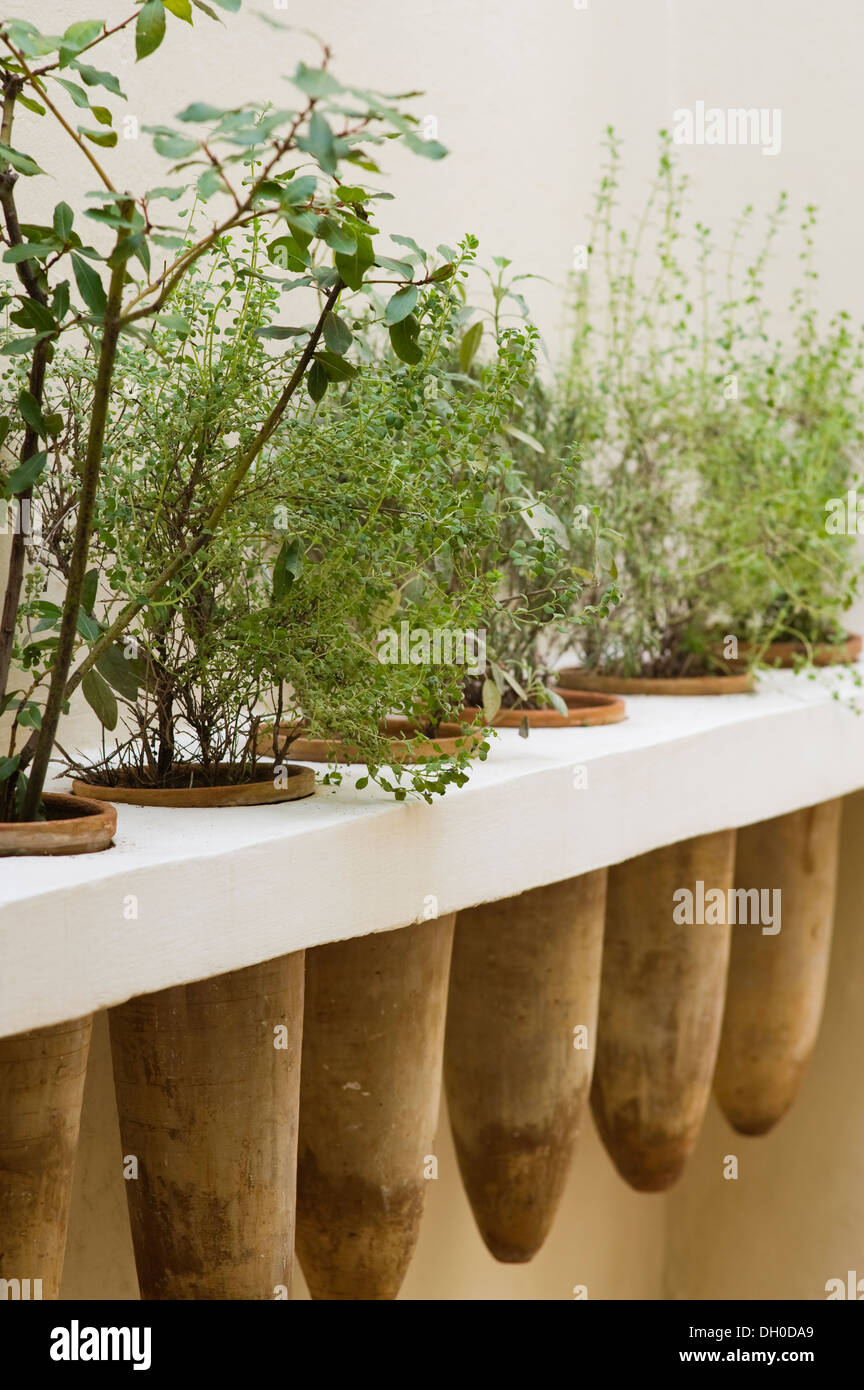 Unusual plant pots hi-res stock photography and images - Alamy