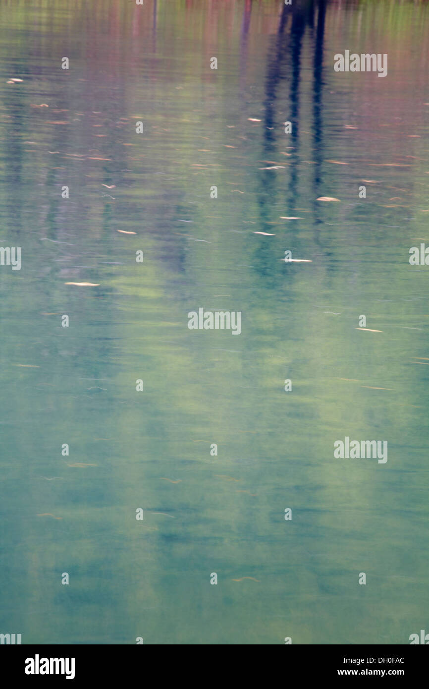 abstract patterns of trees reflected in water Stock Photo - Alamy