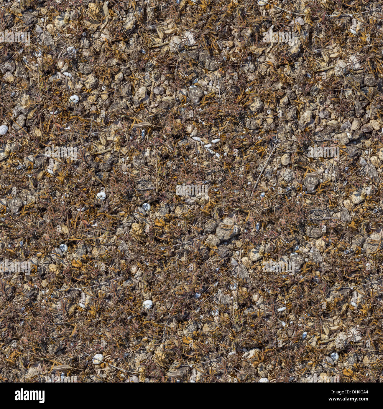 Seamless Texture of Rocky Soil Stock Photo Alamy