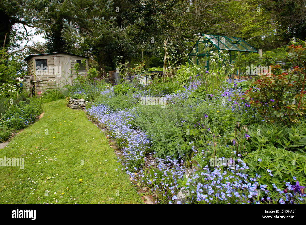 Zanzig Garden in Bloom; Cornwall; UK Stock Photo
