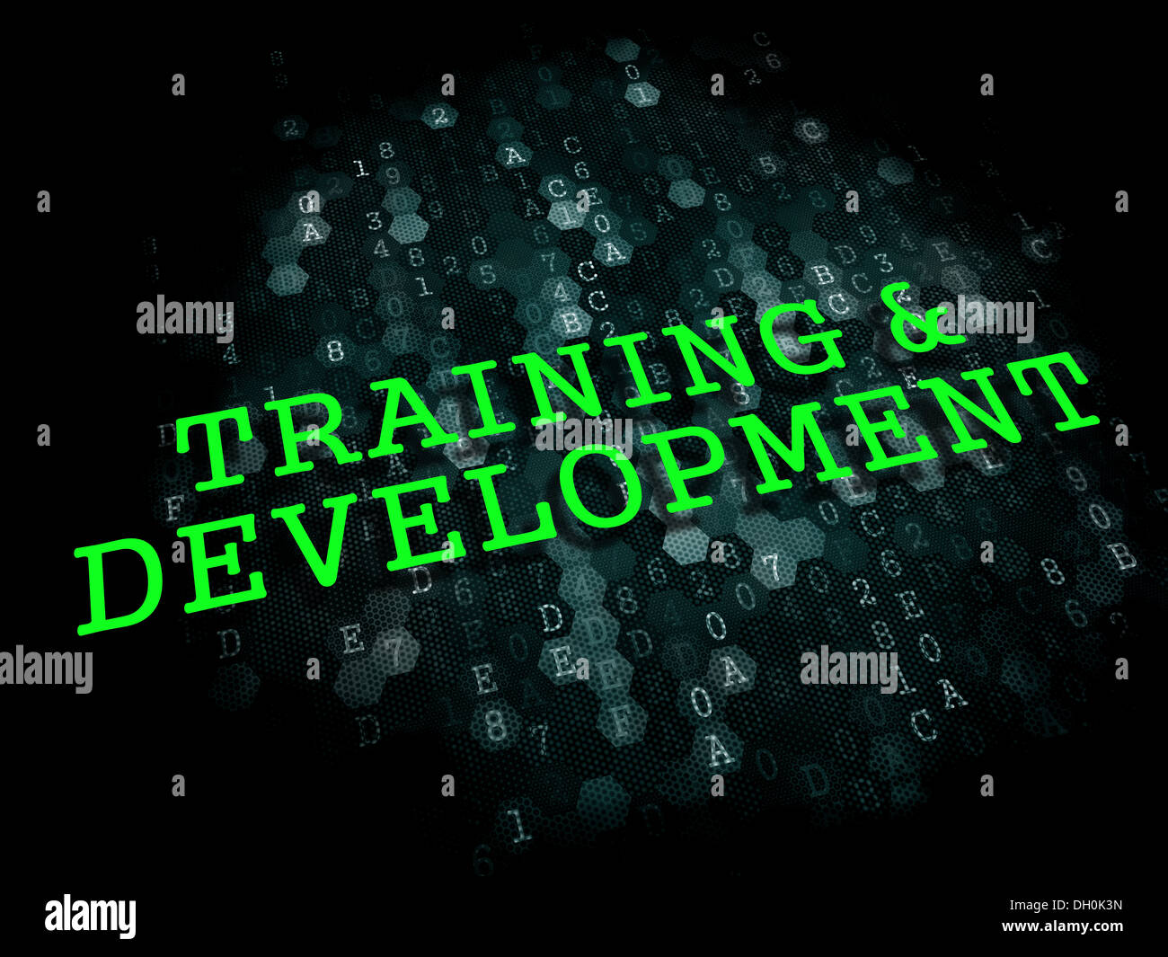 Training and Development. Educational Concept. Stock Photo