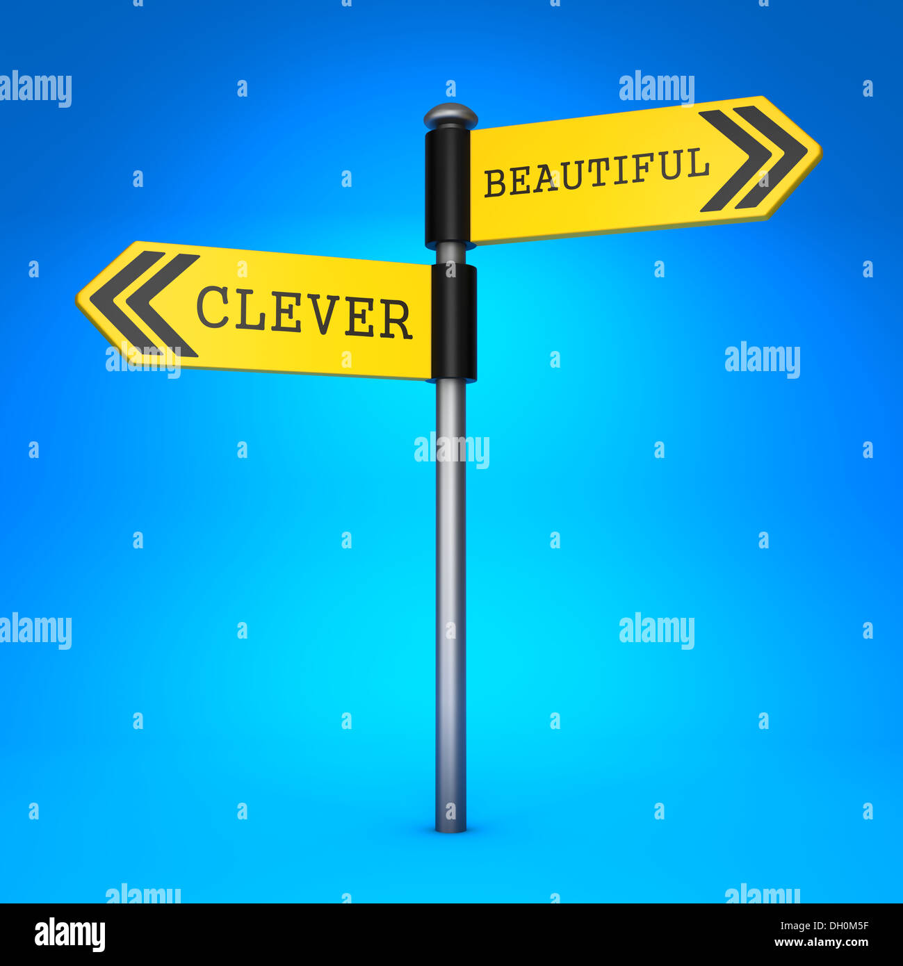 Clever or Beautiful. Concept of Choice. Stock Photo