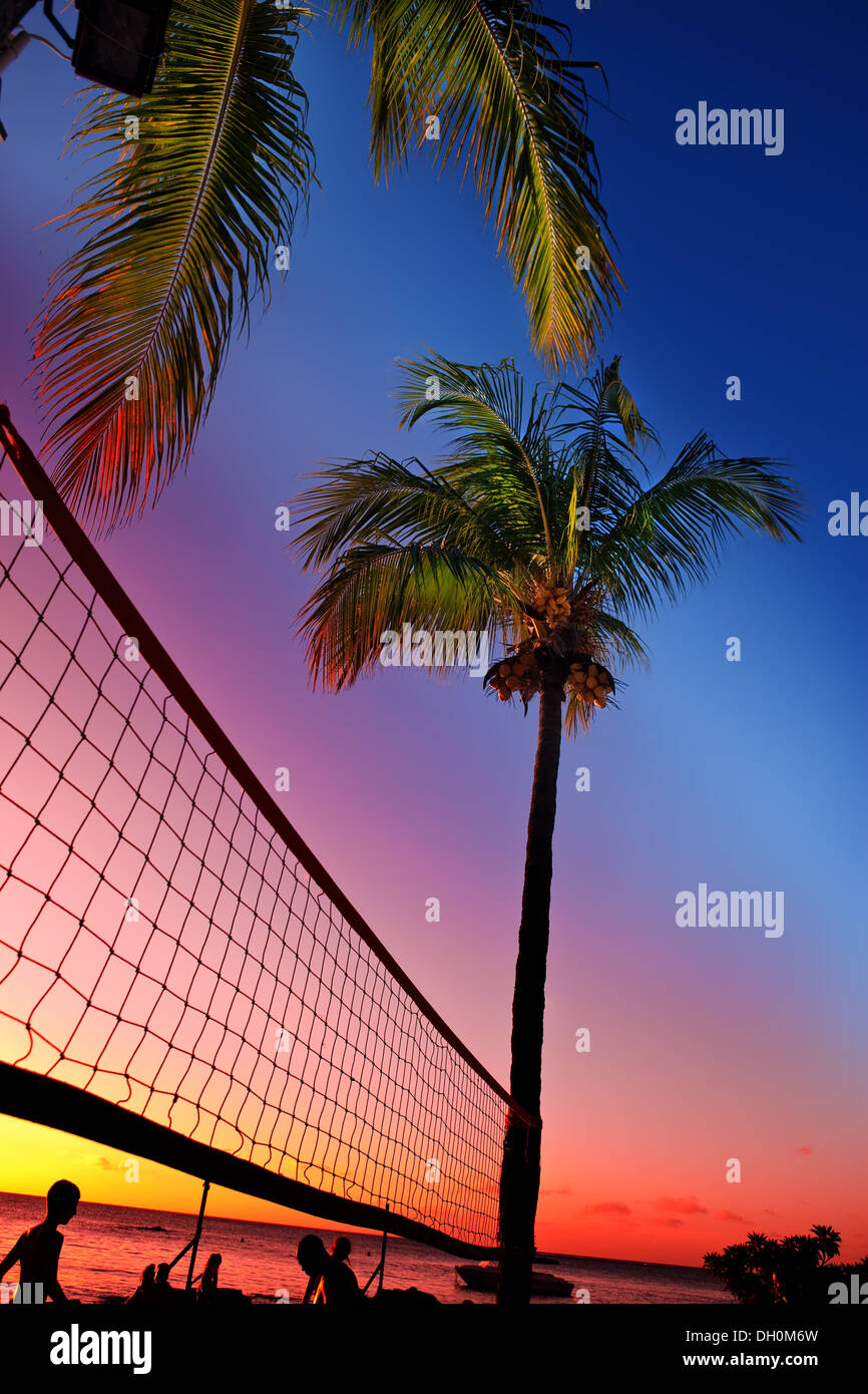 Volleyball palm trees beach hires stock photography and images Alamy
