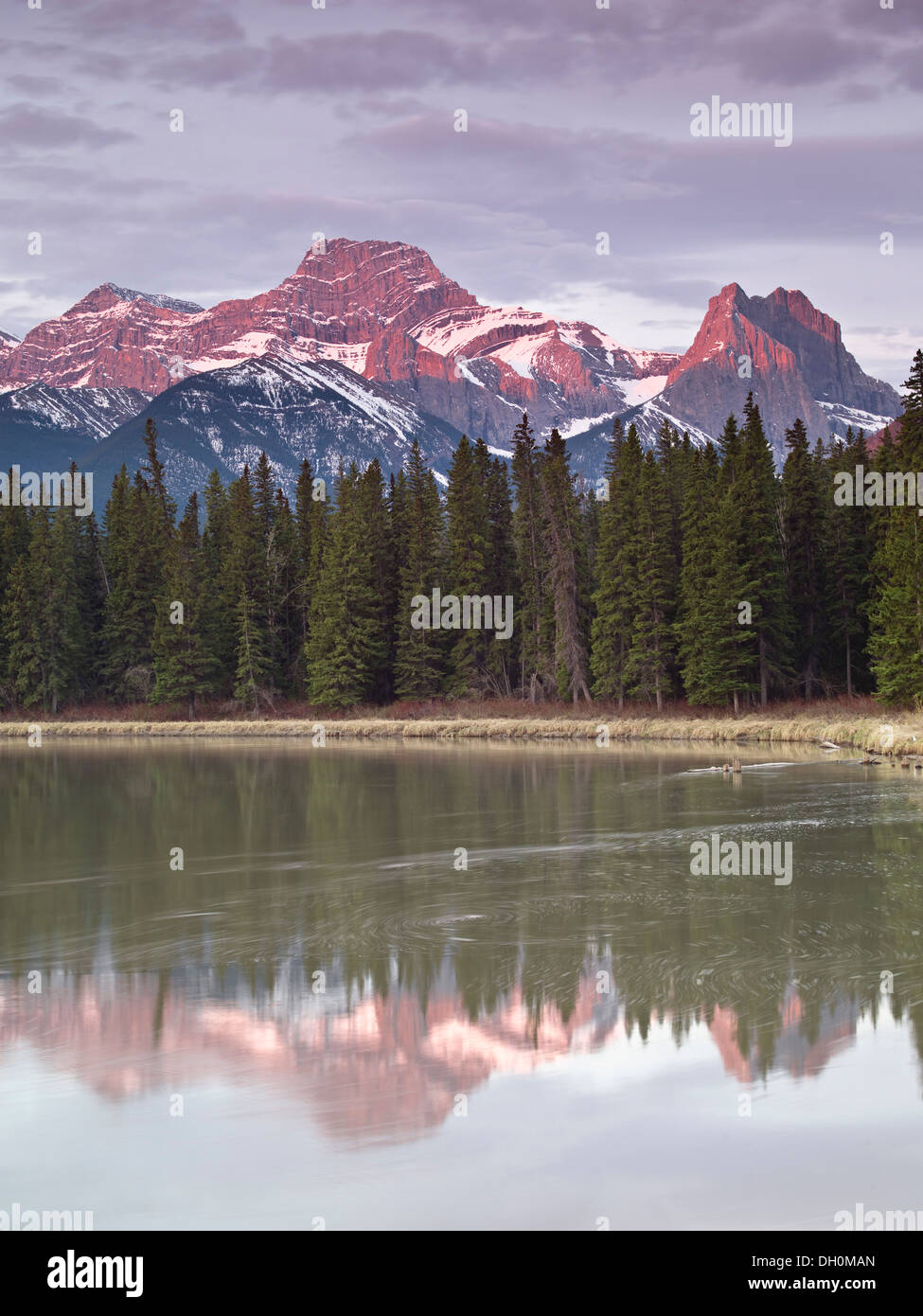 Mount Lougheed reflected in the Bow River at sunrise. Photographed in the summer. Stock Photo