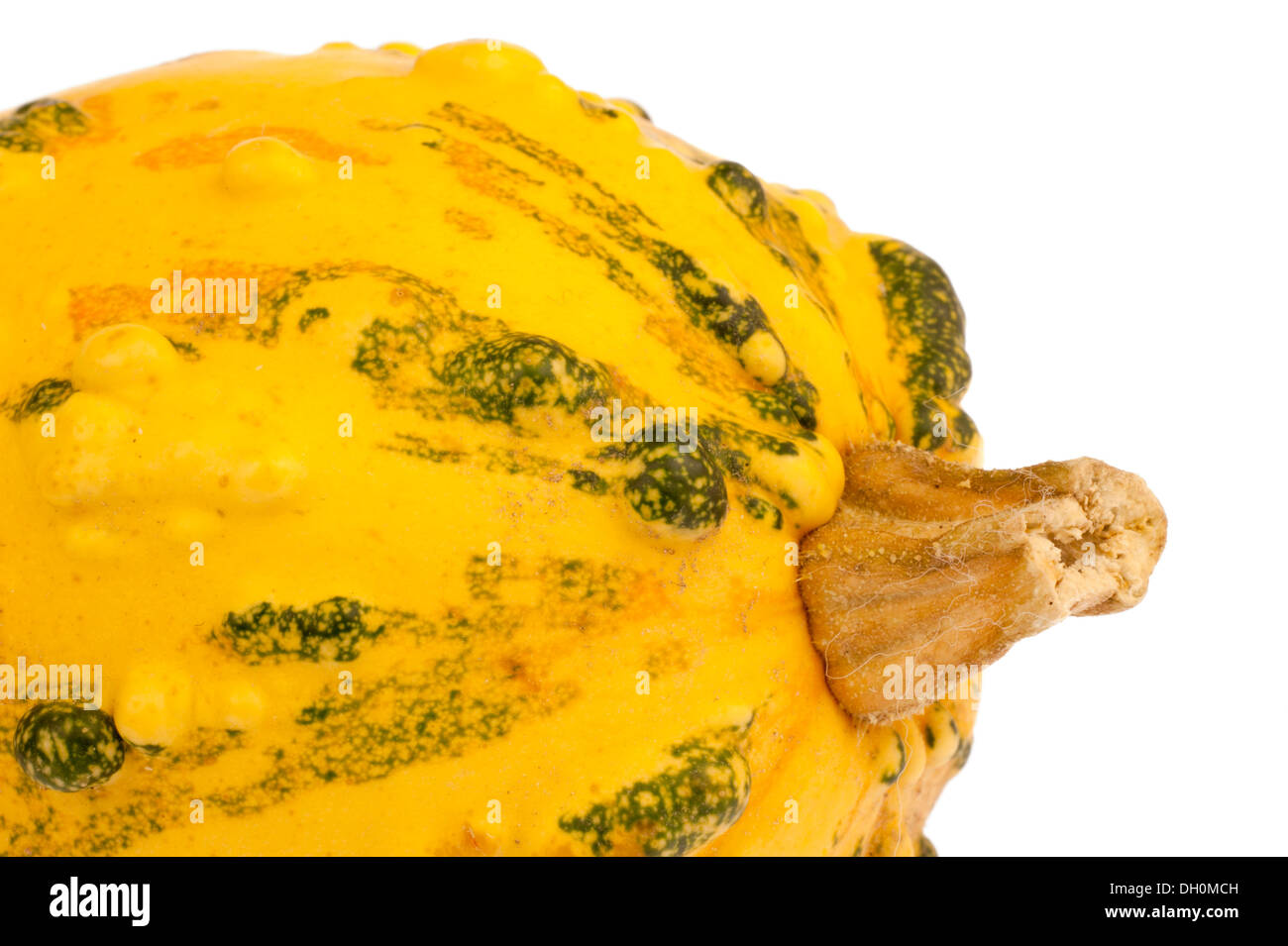 gourd chinese new year