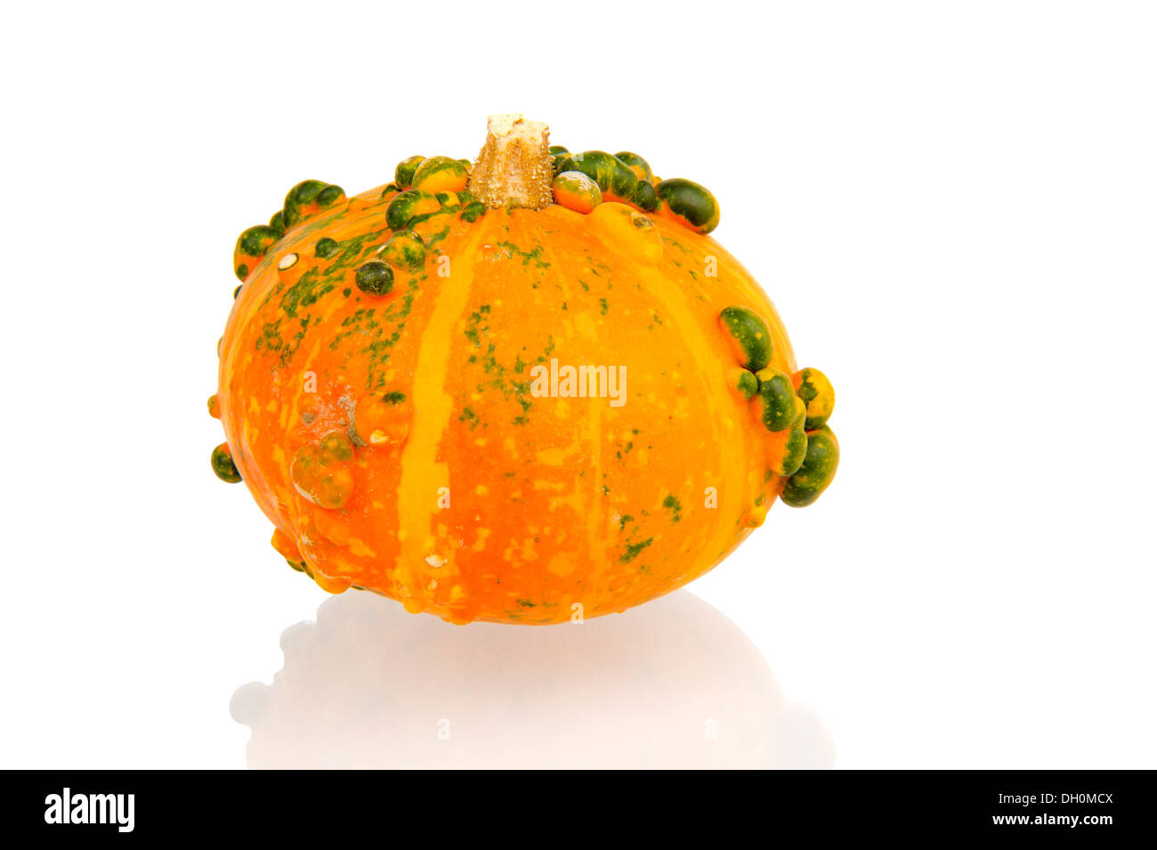 Orange yellow pumpkin gourd chinese lantern with green bulbs isolated in white Stock Photo
