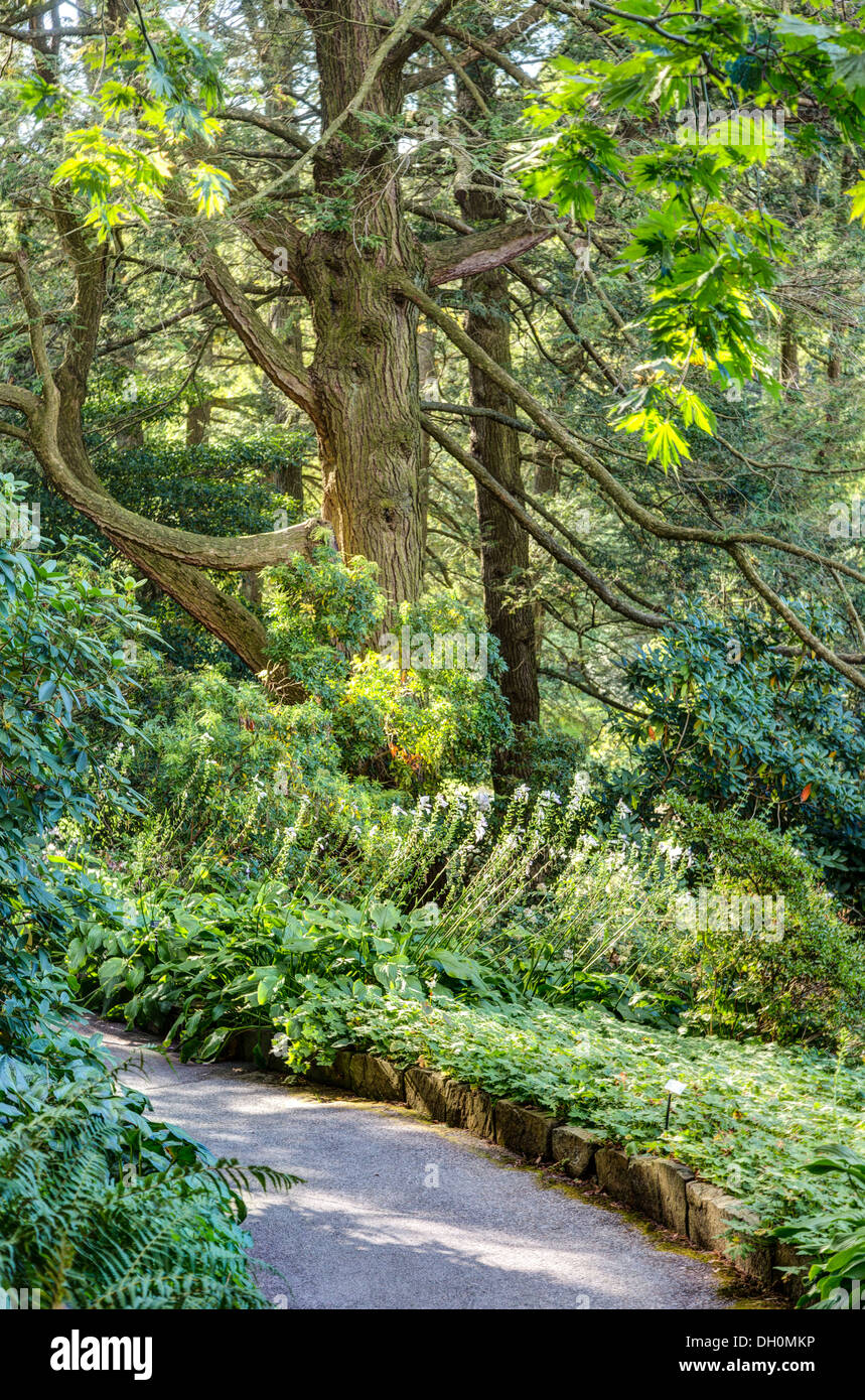 path Longwood Gardens, Square, Pennsylvania, USA Stock Photo