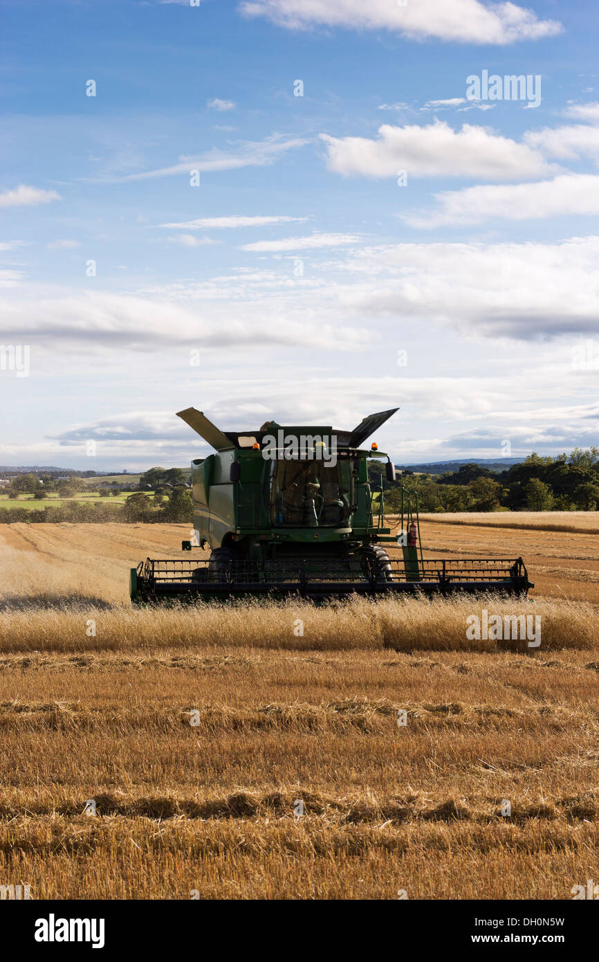 A John Deere combine harvests wheat, late afternoon on Northumberland, England, UK Stock Photo