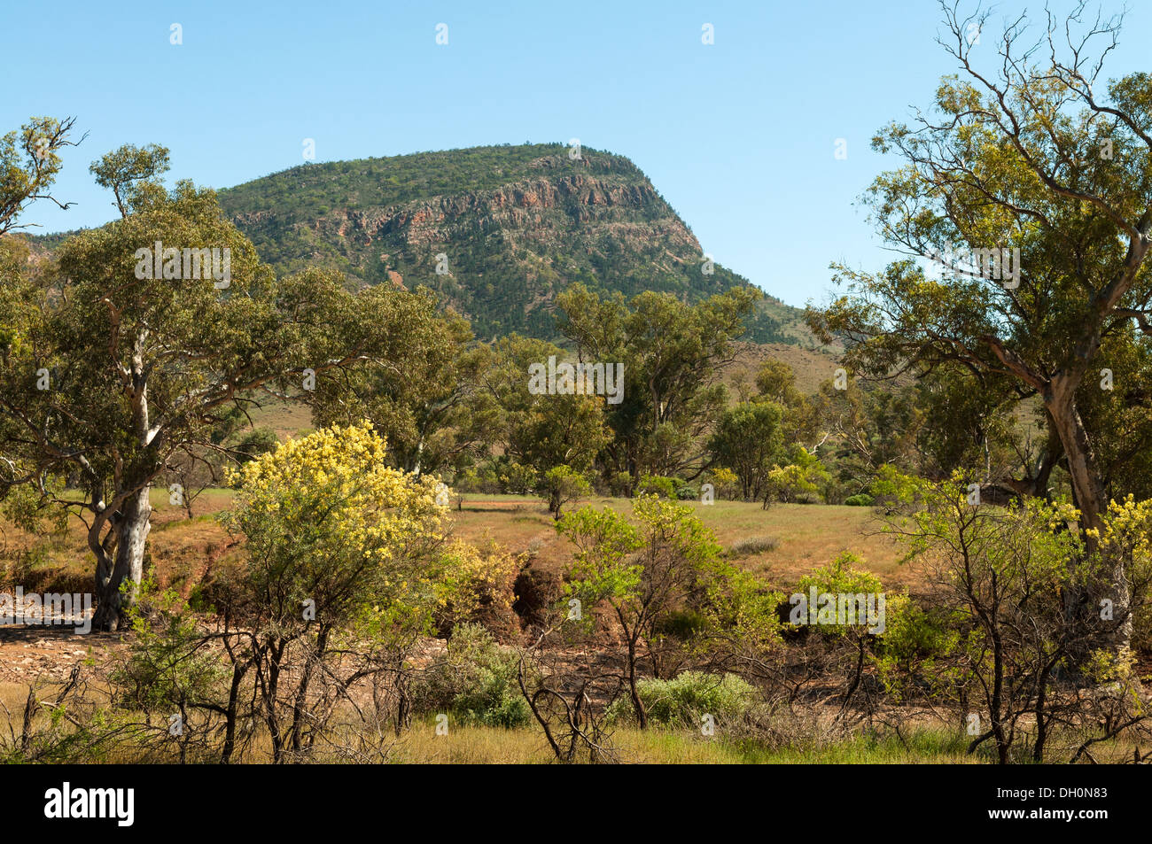 Heysen Range from Brachina Gorge, Flinders Range National Park, South ...