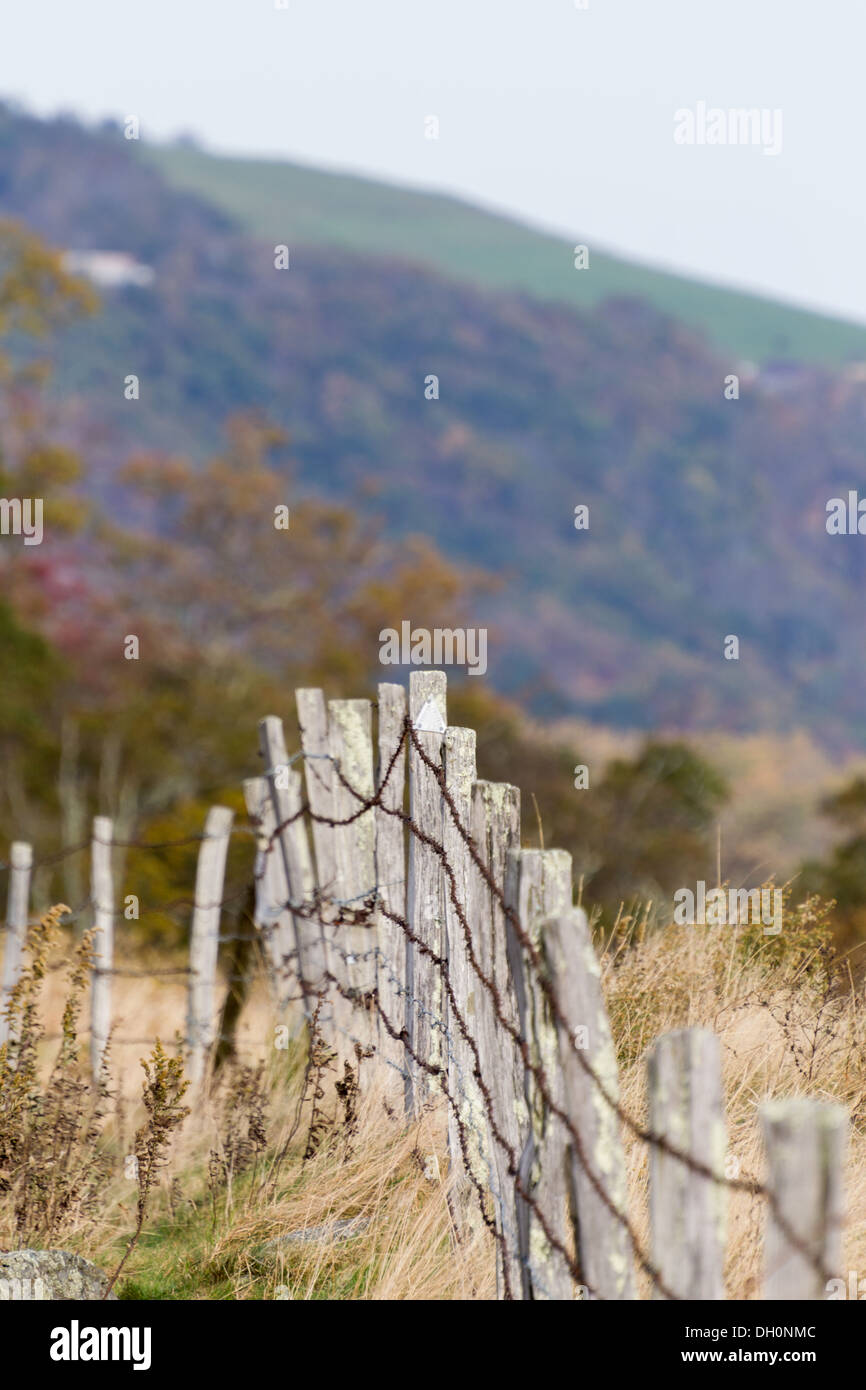 Barbed Wire Fence with Wooden Posts Stock Photo - Alamy
