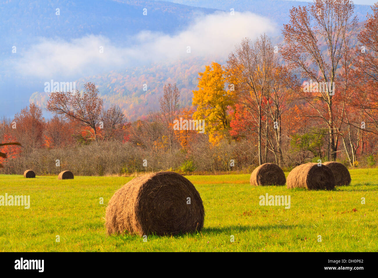 Fog rises on the Pepacton Reservoir behind a filed of hay bales in the Catskills Mountains of New York Stock Photo