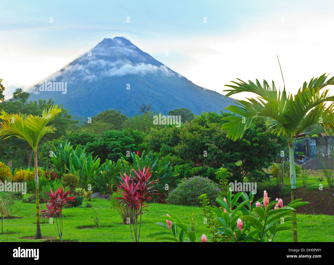 A lush garden in La Fortuna, Costa Rica with Arenal Volcano in the background Stock Photo