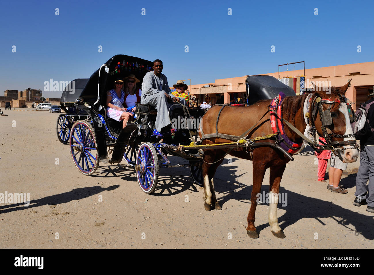 Edfu temple horse hires stock photography and images Alamy