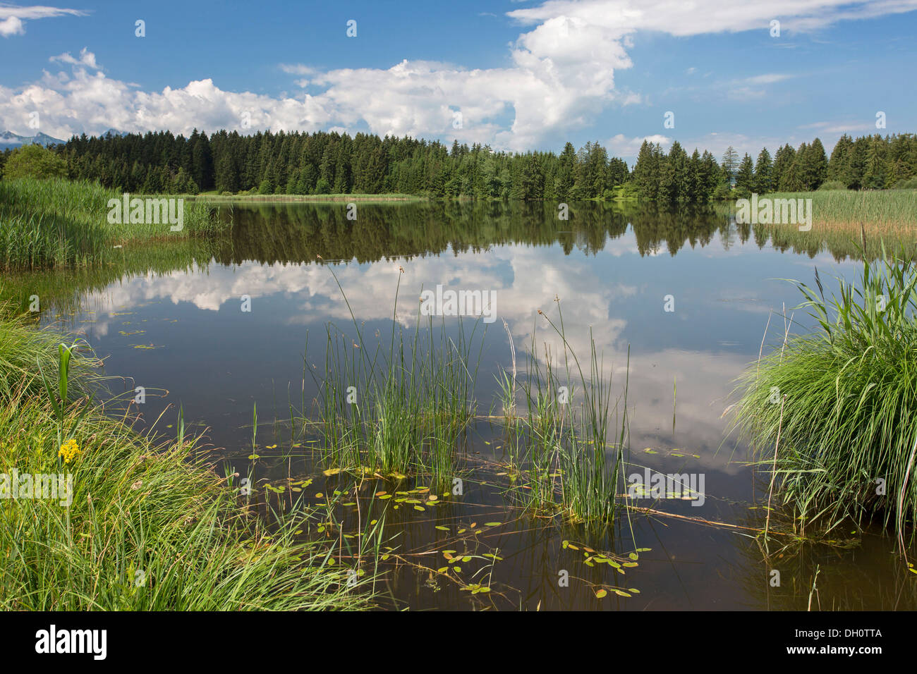 Lake Hegratsrieder in Allgaeu near Fuessen, Bavaria Stock Photo
