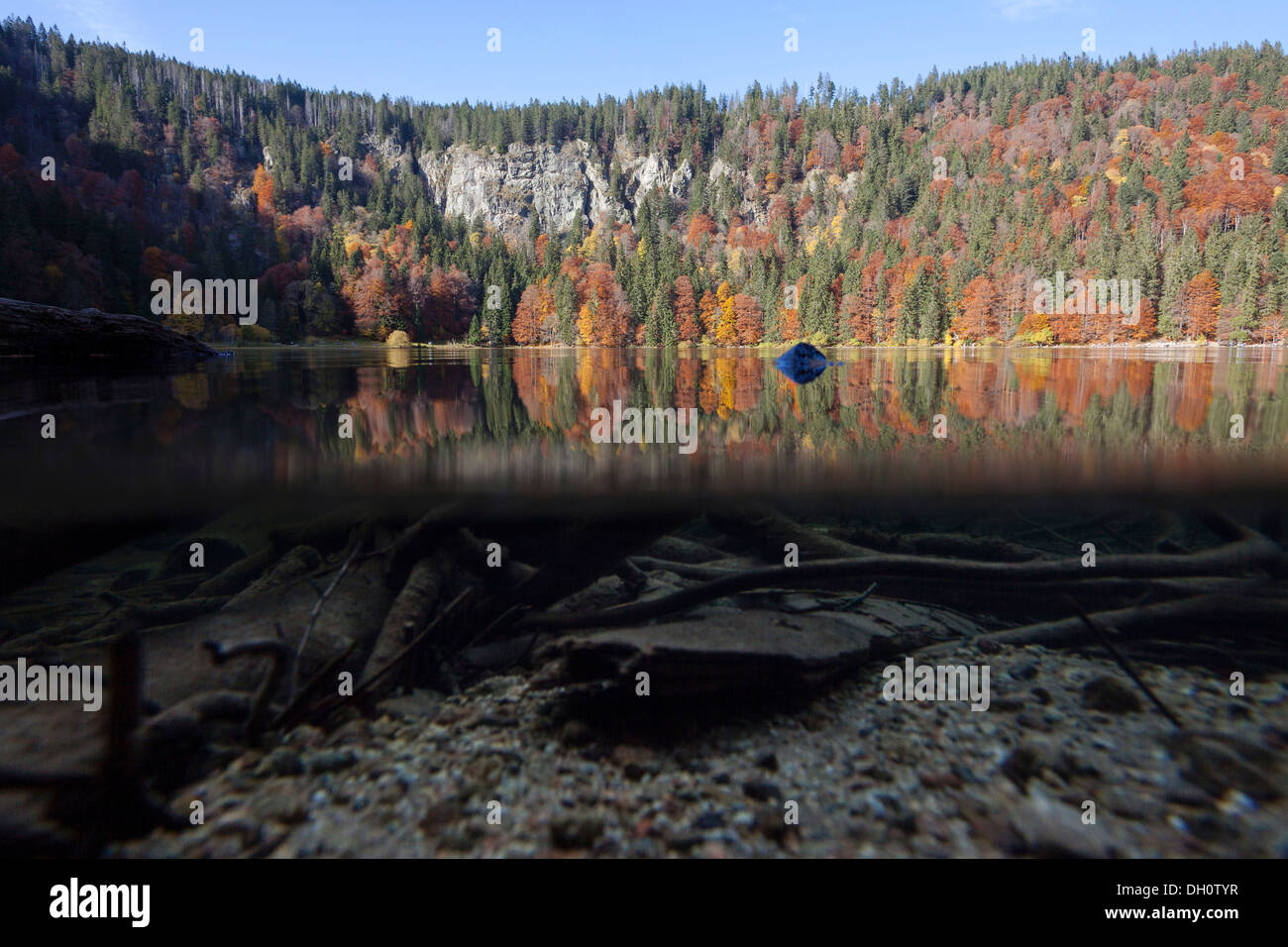 Over-under shot of Lake Feldsee in the Black Forest, Baden-Wurttemberg Stock Photo