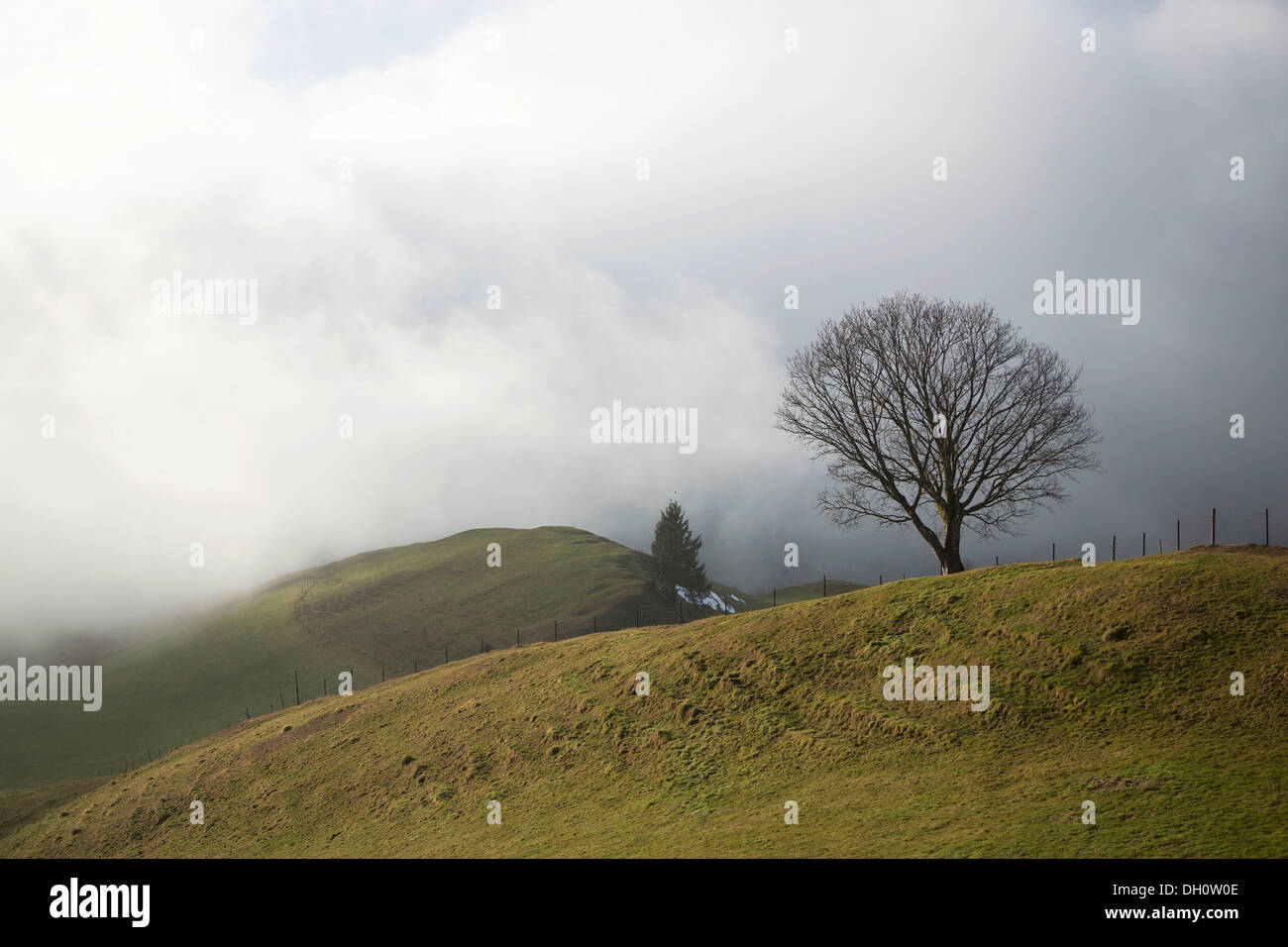 Misty atmosphere on a winter day, Appenzell, Appenzell, Canton of Appenzell Innerrhoden, Switzerland Stock Photo