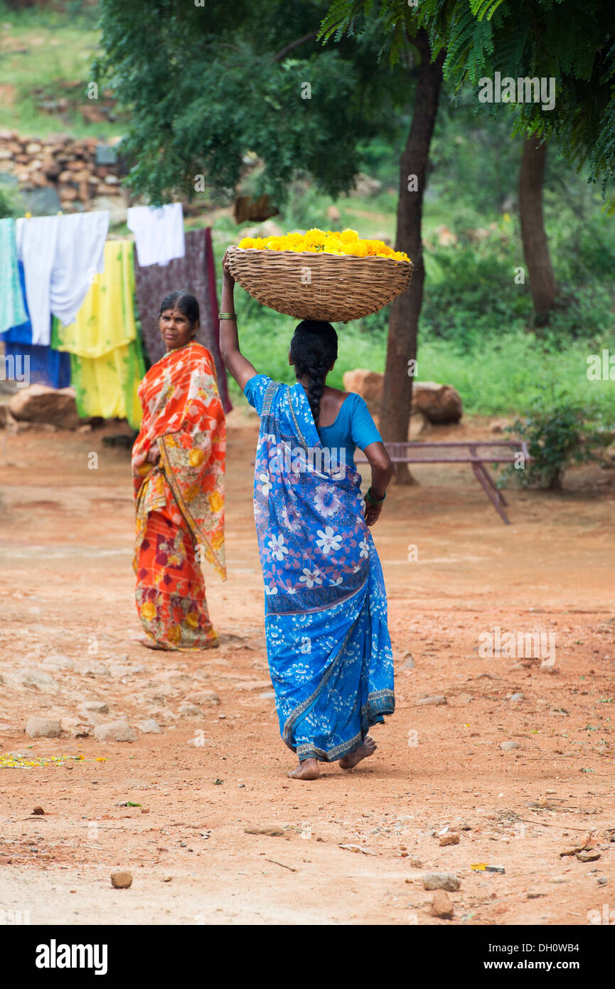 Rural Indian village woman carrying a basket of marigold flowers on her head in an Indian village.  Andhra Pradesh, India Stock Photo