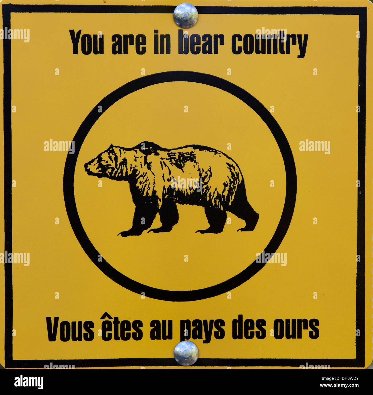 Bear warning sign showing a grizzly bear, English and French, Kluane National Park and Reserve, Yukon Territory, Canada Stock Photo