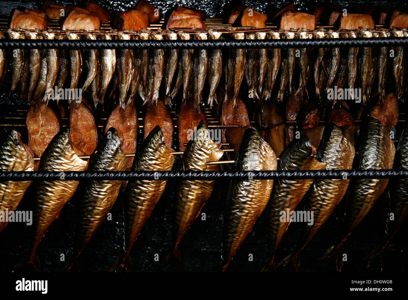 Fish being smoked in the smokehouse, Binz, Ruegen Stock Photo Alamy