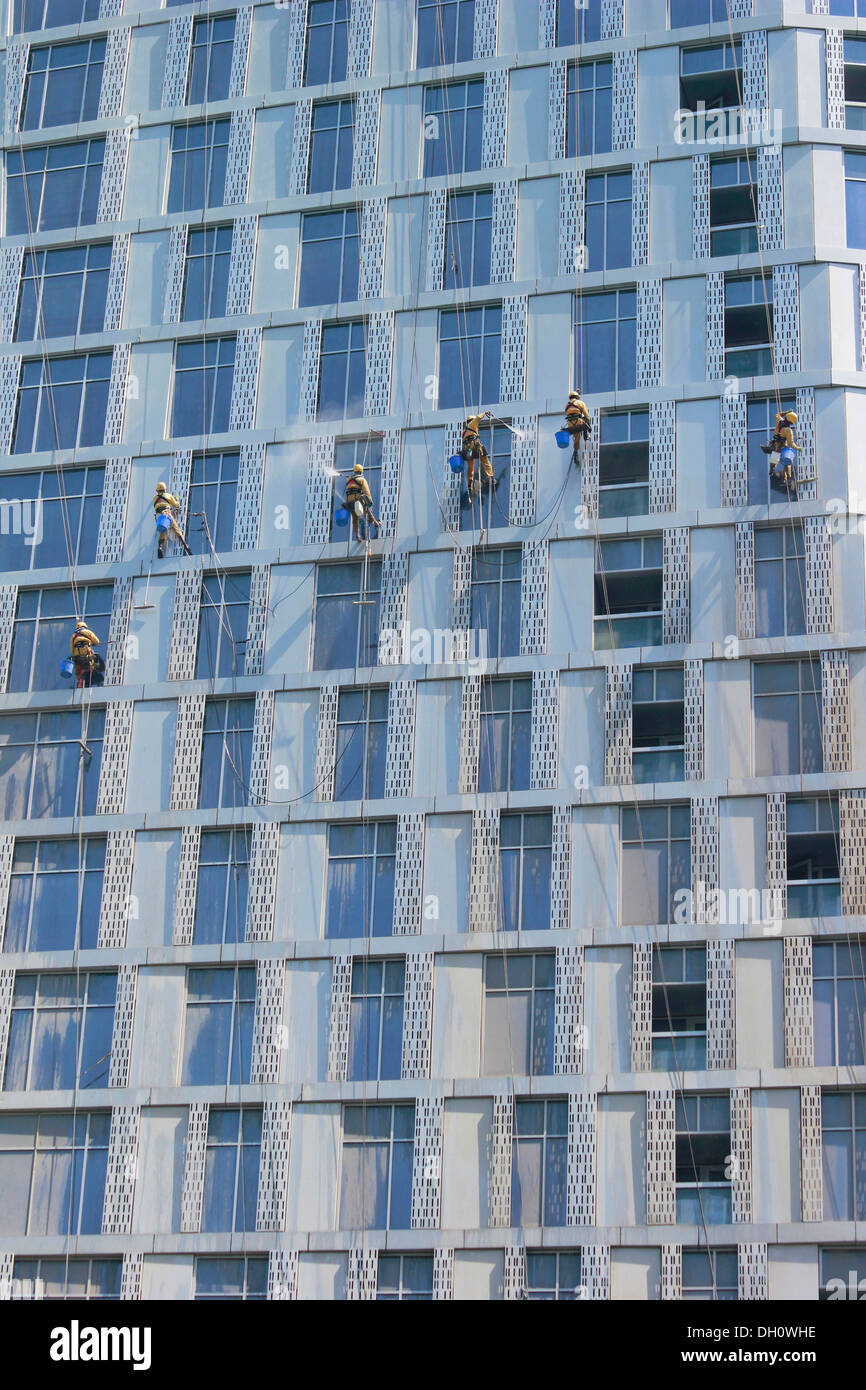 Window cleaners working on the façade of a skyscraper, Dubai Marina, Dubai, United Arab Emirates