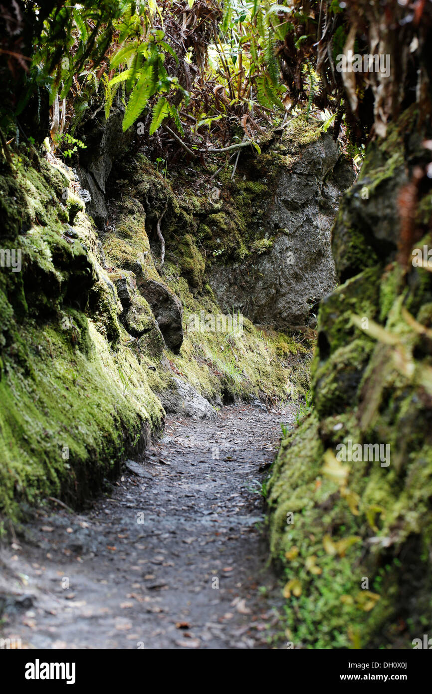 Narrowing of the path, Halemaumau Trail 'Into the Volcano', down into the caldera, Kilauea Volcano Stock Photo