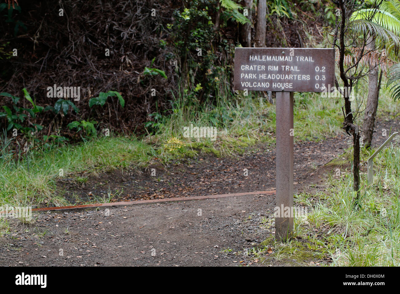 The Halemaumau Trail 'Into the Volcano', down into the caldera, Kilauea Volcano, Hawaii Volcanoes National Park, Big Island Stock Photo