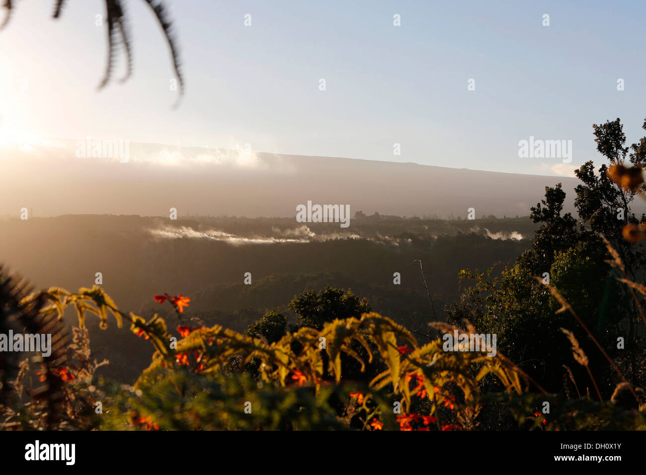 Springs with hot vapour, summit of the Kilauea volcano, Hawaii