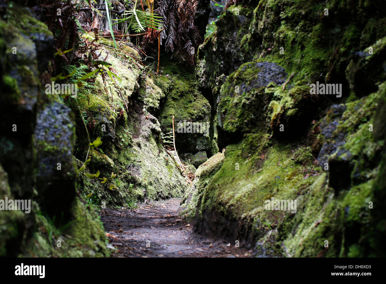 Narrowing of the path, Halemaumau Trail 'Into the Volcano', down into the caldera, Kilauea Volcano Stock Photo
