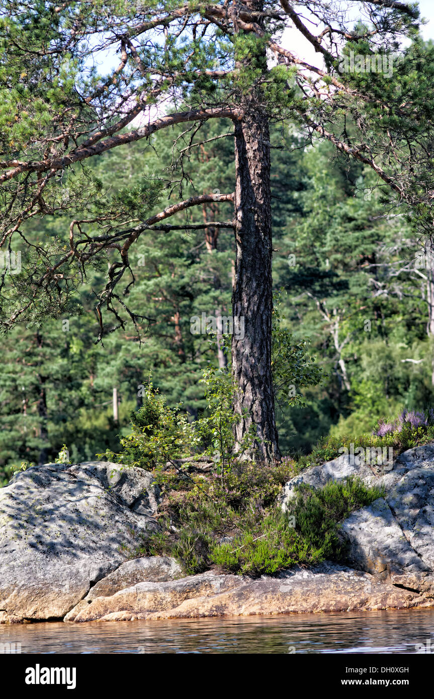 Norwegian landscape Stock Photo