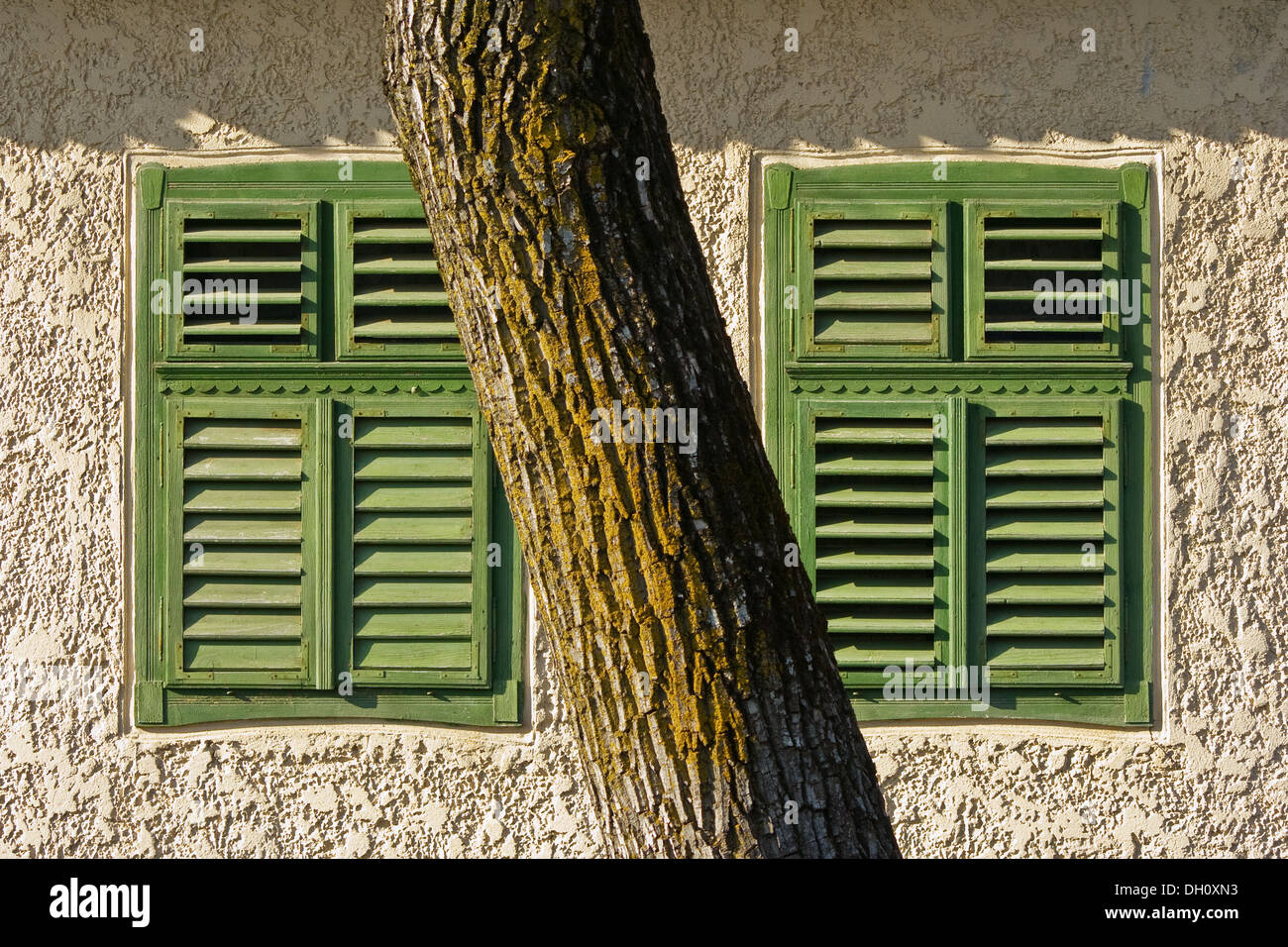 Boards on windows hi-res stock photography and images - Alamy