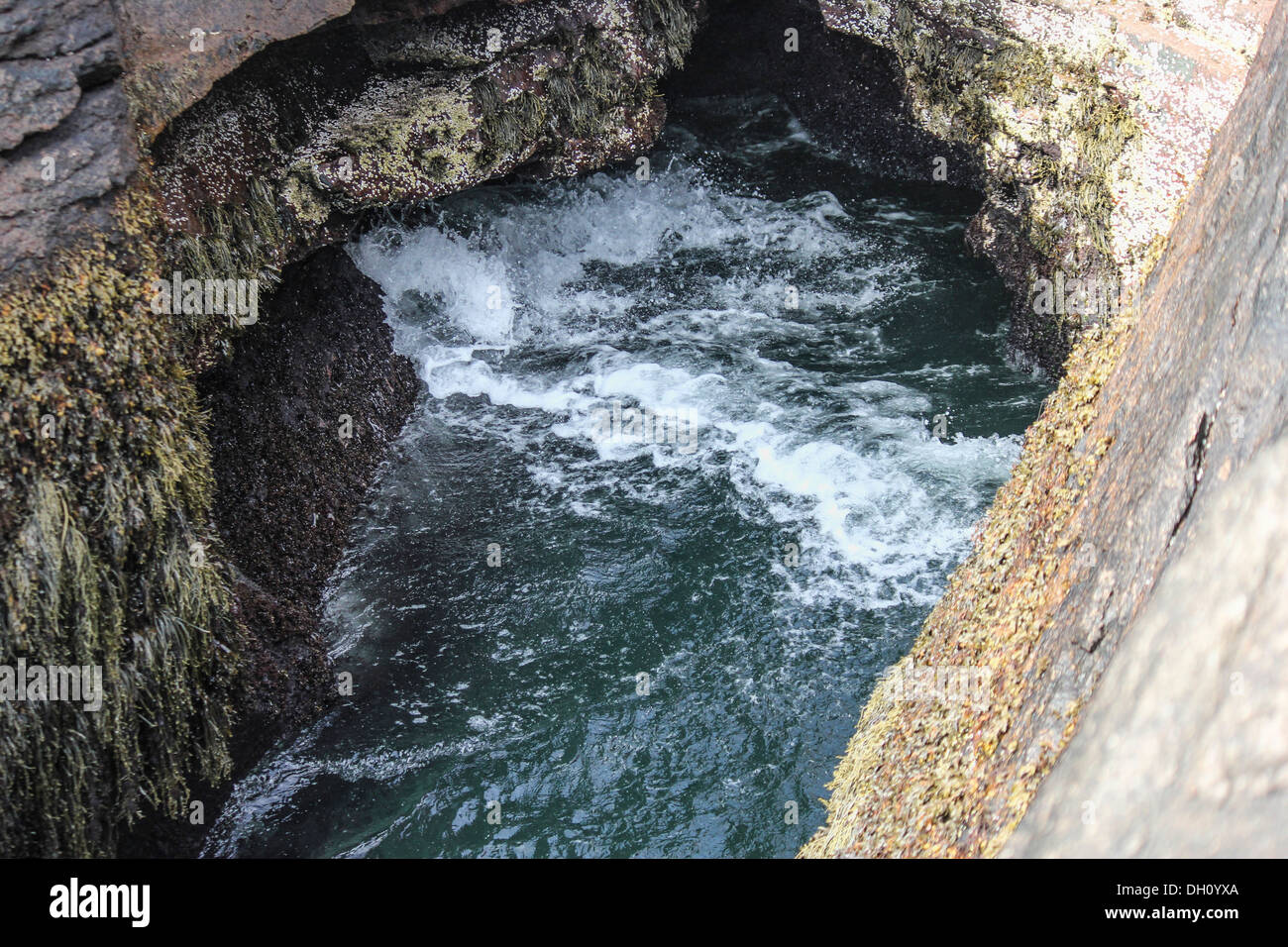 Thunder Hole, Acadia National Park, Bar Harbor, Maine Stock Photo