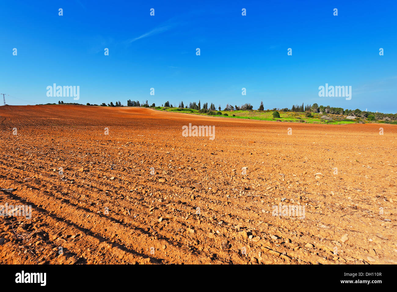 Fields in Israel Stock Photo - Alamy